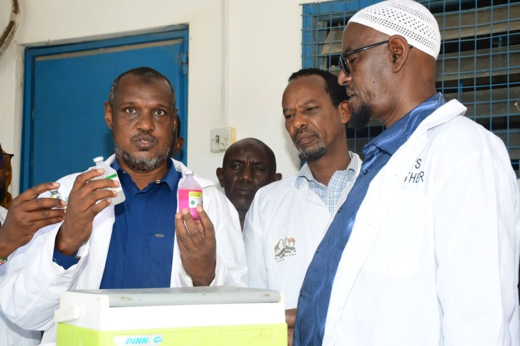 Wajir Launches Mass Livestock Vaccination Drive Targeting 250,000 ...